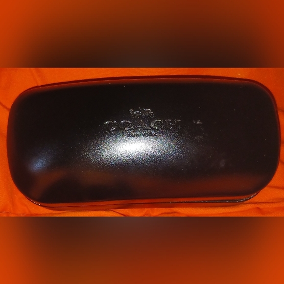 Designer sunglasses cases - Picture 13 of 14